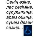 Айгул Омирзакова, 07.07.1997, Туркестан