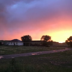 Алихан Нурмолда, 01.05, Алматы