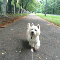 Olga Kushnir, 19.12.1989, Киев