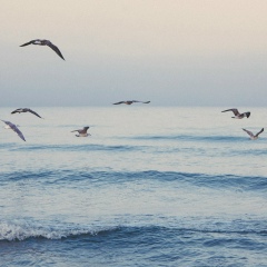 Марго Паршукова, 11.09, Москва