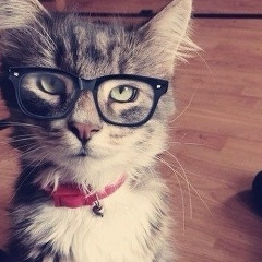 Денис Федоров, 28.12.1987, Казань