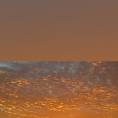 Марина Миролюбова, Санкт-Петербург