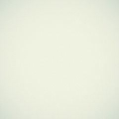 Александр Ефименков, Москва