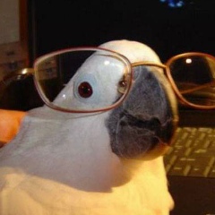 Алекс Казус, 29.01.1991