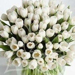 Гаухар Жумадилова, 07.12, Астана