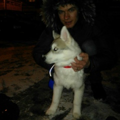 Владимир Калганников, Москва