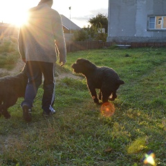 Михаил Расходчиков, 12.11.1984, Подольск