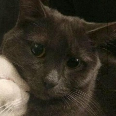 Лера Сергина, 22.03, Сегежа