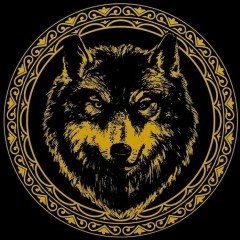 Магомед Нохчиев, 02.01.1995, Москва