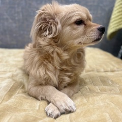 Катя Измайлова, Астана