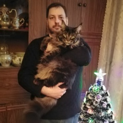 Александр Митрофанов, 22.07.1980, Санкт-Петербург