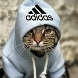 Анна Вишнякова, 22.11, Николаев