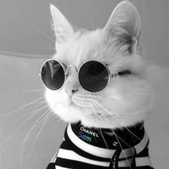 Владислав Пинтус, 04.02.1987