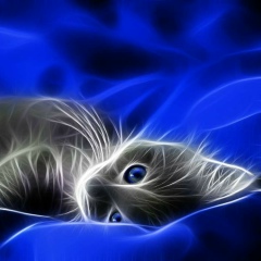 Альбина Смирнова, 15.10.1976, Санкт-Петербург