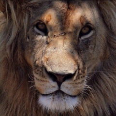 Елжас Иемберген, 23.01, Алматы