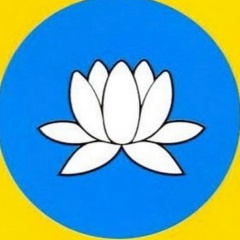 Милана Миланова, 01.12, Москва