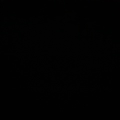 Ксения Попова