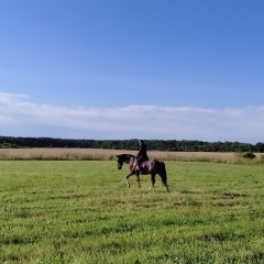 Таш Курчакова, 06.08