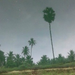 Мийка Ложкина, 03.08.2000, Новосибирск