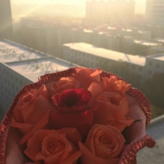 Танечка Ниязмамедова, 17.01