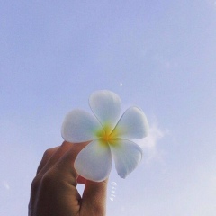 Charcole Baby, 12.09.2004