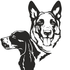 Ольга Сабадырева, 24.07.1982, Москва