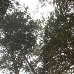 Феликс Якусевич, 24.09, Караганда