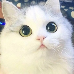 Нурилла Султанова, 08.12.1994, Шымкент