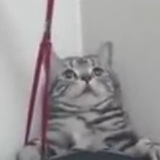 Роман Радер, 23.03, Luxembourg