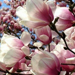 Юлія Нагайчук, 22.02.1988, Львов