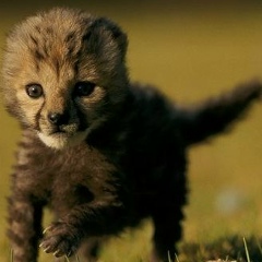Андрей Бондарь, 27.01.1985, Москва