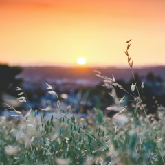 Александр Зюзин