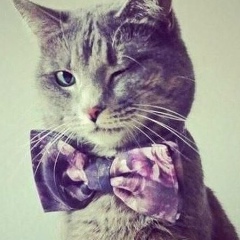 Денис Цуркан, 06.09, Москва