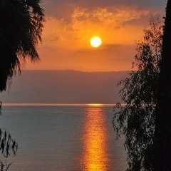Андрей Сафронов, 10.01.1977, Москва