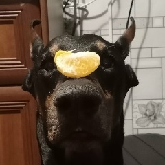 Андрей Нагорный, 11.09, Волжский