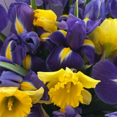 Дарья Глебова