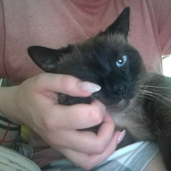 Людмила Цейтлина, 14.08.1987, Омск