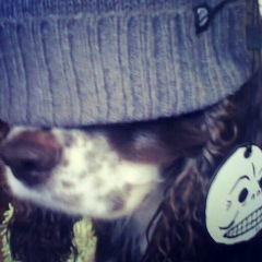 Тимофей Нетимофей, 02.03