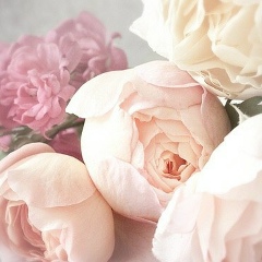 Аминат Майрбековна, 07.12, Москва