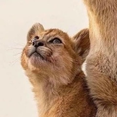 София Sophia, 09.04, Москва