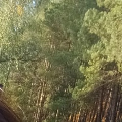 Ансар Аминев, 10.12.1994