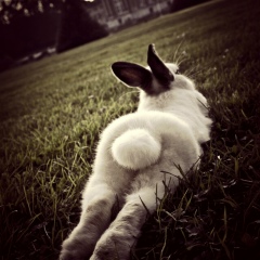 Настя Горюнова, 23.10.1988, Москва