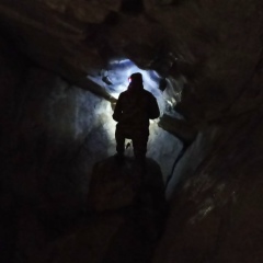 Артемий Горшков, Москва