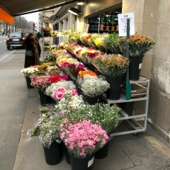 Dina Zharlykasyn, 16.05, Алматы