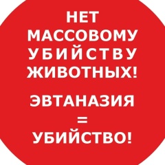 Сергей Гизиков, 08.05, Казань