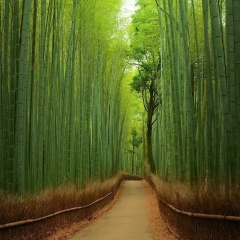 Абдурашид Кадыров, 14.02, Пермь