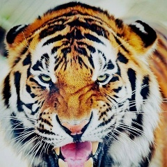 Максим Орлов, 02.05