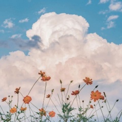 Наталья Мягкова, 14.09.1988, Жуковский