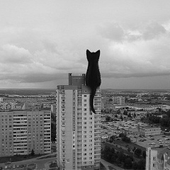 Екатерина Виллонен, 22.12.1983