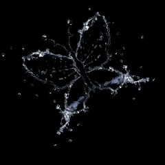 Ольга Диденко, 20.09, Санкт-Петербург